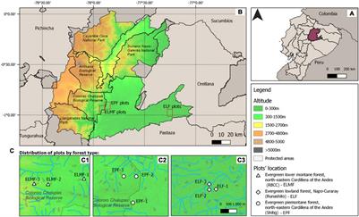 Aboveground Biomass Along an Elevation Gradient in an Evergreen Andean–Amazonian Forest in Ecuador